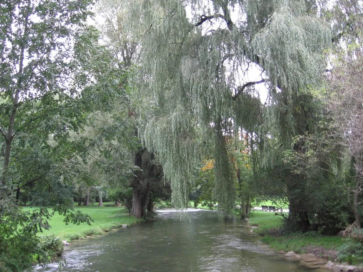 Best Beer Gardens In Munich Travel Guide